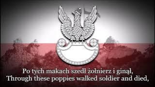 Polish Military Song - Czerwone maki na Monte Cassino