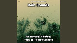 Rain Sounds Pt. 26
