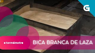 🥧 Os SEGREDOS na ELABORACIÓN deste DOCE TRADICIONAL