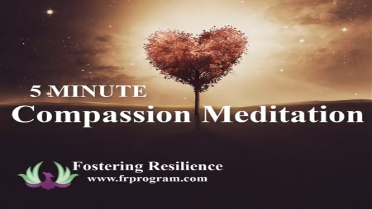 5 Minute Compassion Meditation - YouTube