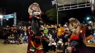 'Duet maut' solah singo barong bajang vs dkt cikyen 1289👹
