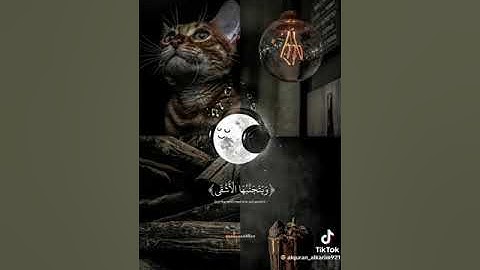 القارئ عبدالرحمن مسعد 😴🖤