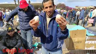 سوق القريعة بالدار البيضاء 🇲🇦🇲🇦 يوم الاحد مع باعة دجاج البراهما أثمنة البيض الله دير الخير 😍😍