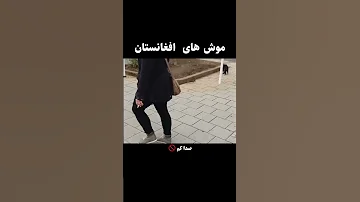 اخ اخ موشای افغانستان طنز فان جوک 