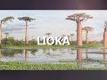 Lioka luke malagasy  good news  audio bible