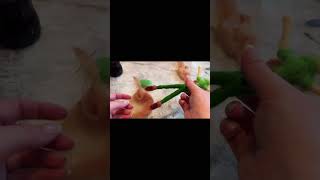 Download Lagu Needle Felting Peter Pan #disney #peterpan #diy #craft #needlefelting #hobby #inspiration MP3 Download Lagu Needle Felting Peter Pan #disney #peterpan #diy #craft #needlefelting #hobby #inspiration MP3