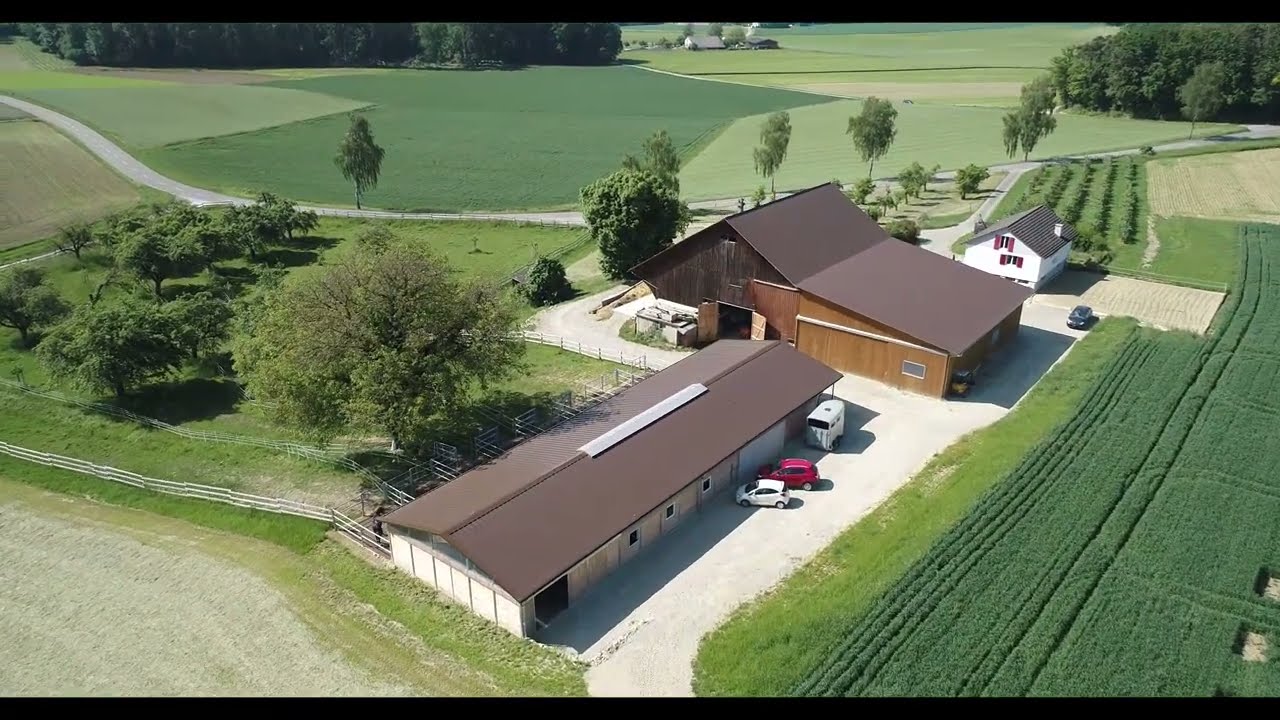 Pensionsstall Schlatter, Dörflingen (SH)