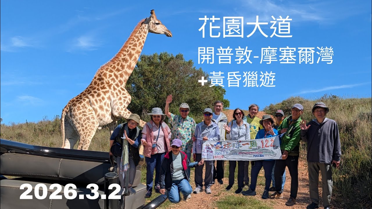 和平船122回 南非花園大道 開普敦-摩塞爾灣+獵遊 2026.3.2