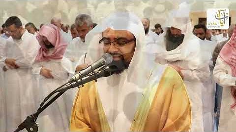 سورة ( لقمان ) تلاوة هادئه تفيض جمالاً الشيخ ناصر القطامي