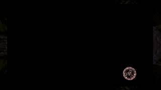 Classic mode unlocked Bloodstained Ritual of the night (Castlevania fans rejoice)
Powered by Restream https://restream.io/
checking out the new DLC content which was free Classic mode unlocked Bloodstained Ritual of the night (Castlevania fans rejoice)