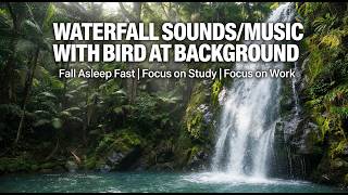 Relaxing Waterfall Sounds /Soft Cuckoo Bird | Calm Nature Ambience for Sleep, Study & Stress Relief  screenshot 2