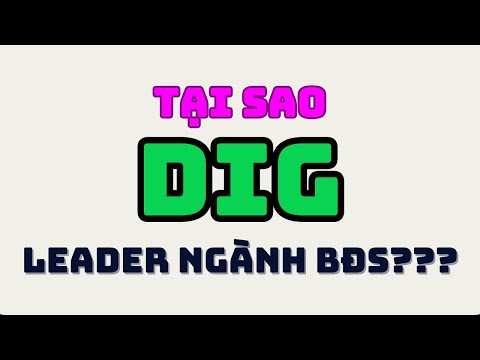 Cổ phiếu DIG - Leader dòng BĐS | So sánh với NVL CEO HDC DXG...