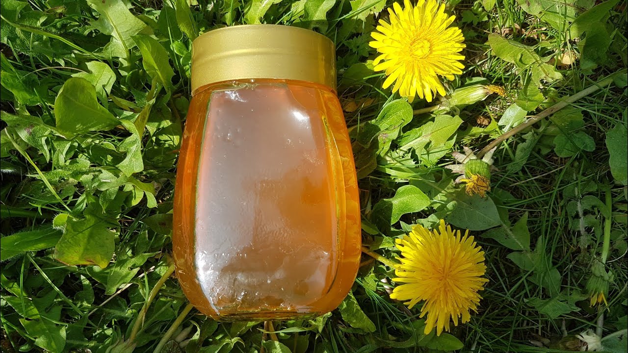 طريقة عمل مربى  زهرة الهندباء Le pissenlit يامال الشام