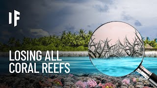 What If Earth Lost All Its Coral Reefs?