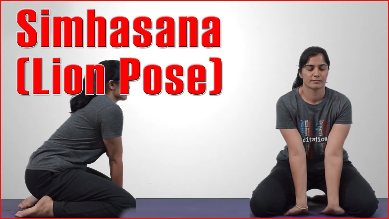 Simhasana | Lion Pose | Steps | Benefits | Precautions | Learn yoga poses,  Yoga for flexibility, Yoga facts