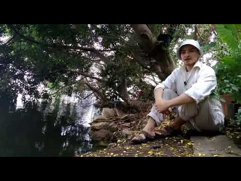 قصيدة بلادي للشاعر إيليا أبو ماضي بإنشاد روسي