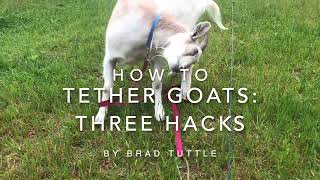 How To Tether Goats Three Hacks