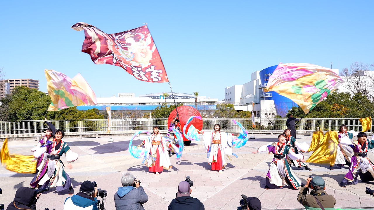 【吉祥桜樹】堺よさこい かえる祭り2026 堀内機械会場