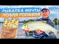 ЛОВЛЯ ГОЛАВЛЯ НА ОКЕ! РЫБАЛКА МЕЧТЫ!