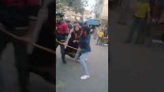 ابراهيم الابيض بتاع الهرم