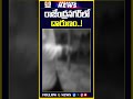 చేతులతో పట్టుకుని పాముతో స్టంట్లు..! | #rajendranagar #snake #hyderabadnews #shortstelugu #trending