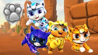 Introducing the Cat Pack! 🐱 | Mighty Pups Official Channel | PAW Patrol