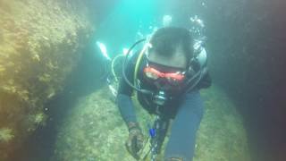 Tioman ScubaDiving Chebeh Labas 9th-12th Sept 2016 with The Dive Company