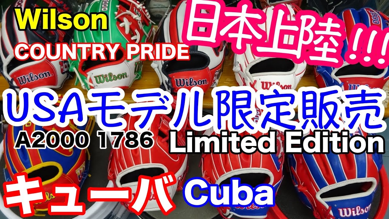 Wilson USA Glove Limited Edition COUNTRY PRIDE 
