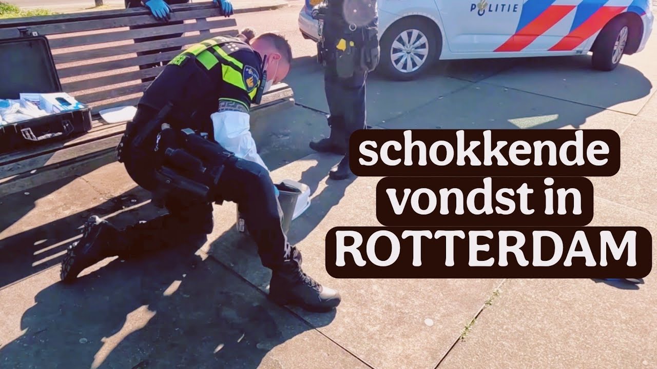 DIT ZAGEN WE LIEVER NIET UIT HET WATER KOMEN