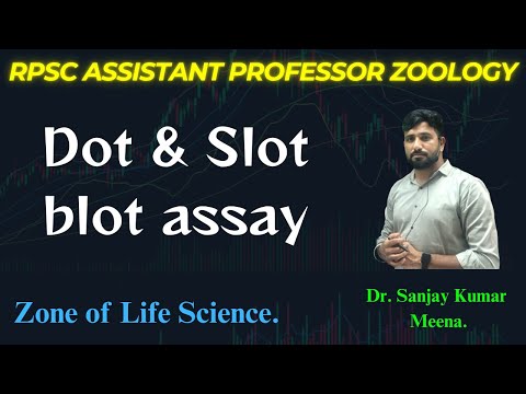 Dot & Slot blot assay. RPSC Asst Professor Zoology. #rpsczoology #tools #blotting