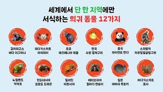 세계에 단 한지역에서만 사는 희귀 동물 12가지 5분 요약