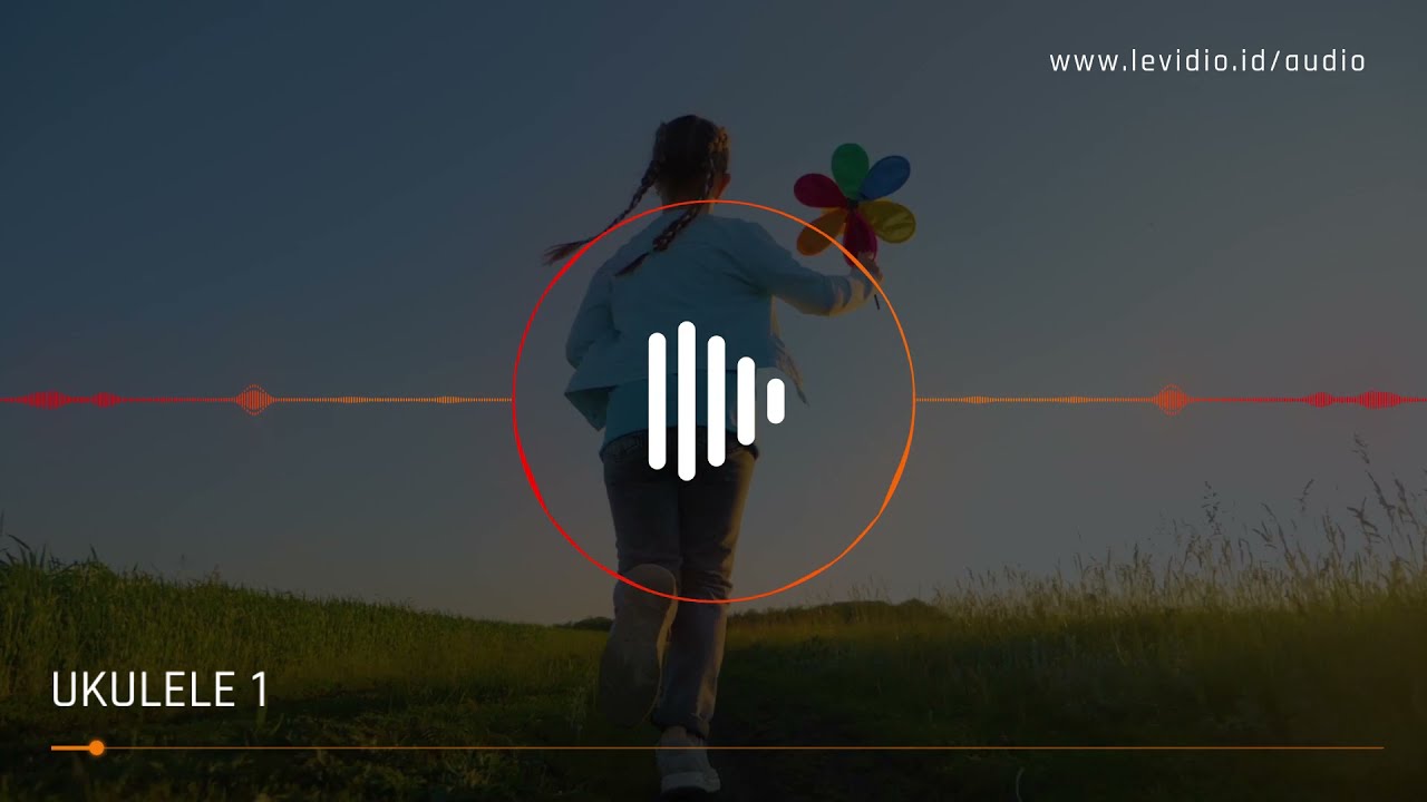 Levidio Audio Pro - Full Preview