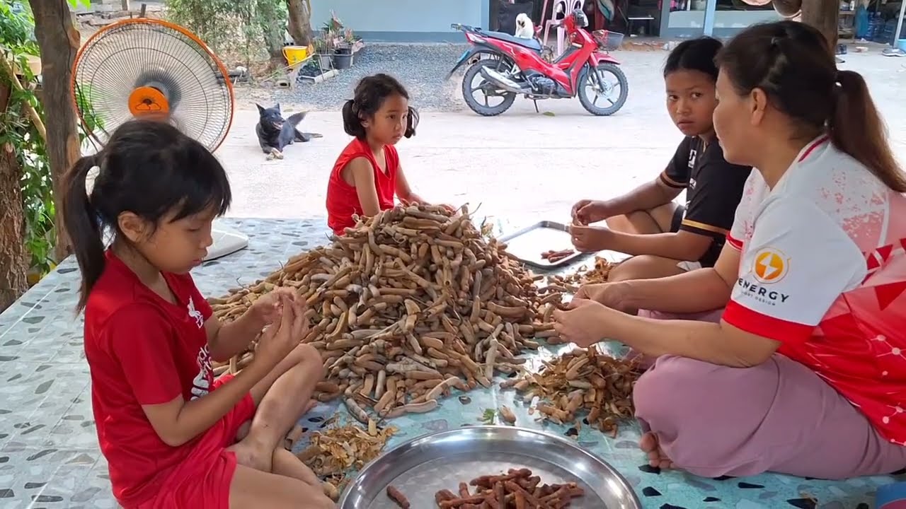 ร่วมด้วยช่วยกันเก็บบักขามสุกมานั่งปอกกับลูกๆเก็บถั่วฝักยาวๆมาตำ25ก.พ69