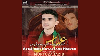 Aye Shere Nayastane Haider