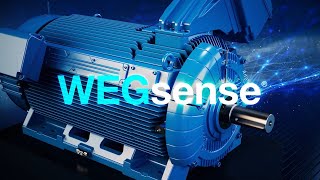 WEGsense®