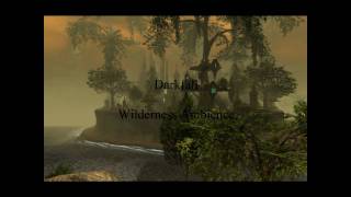 Darkfall Wilderness Ambience