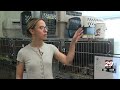 Charlottesville shelter short on supplies as kitten season heats up