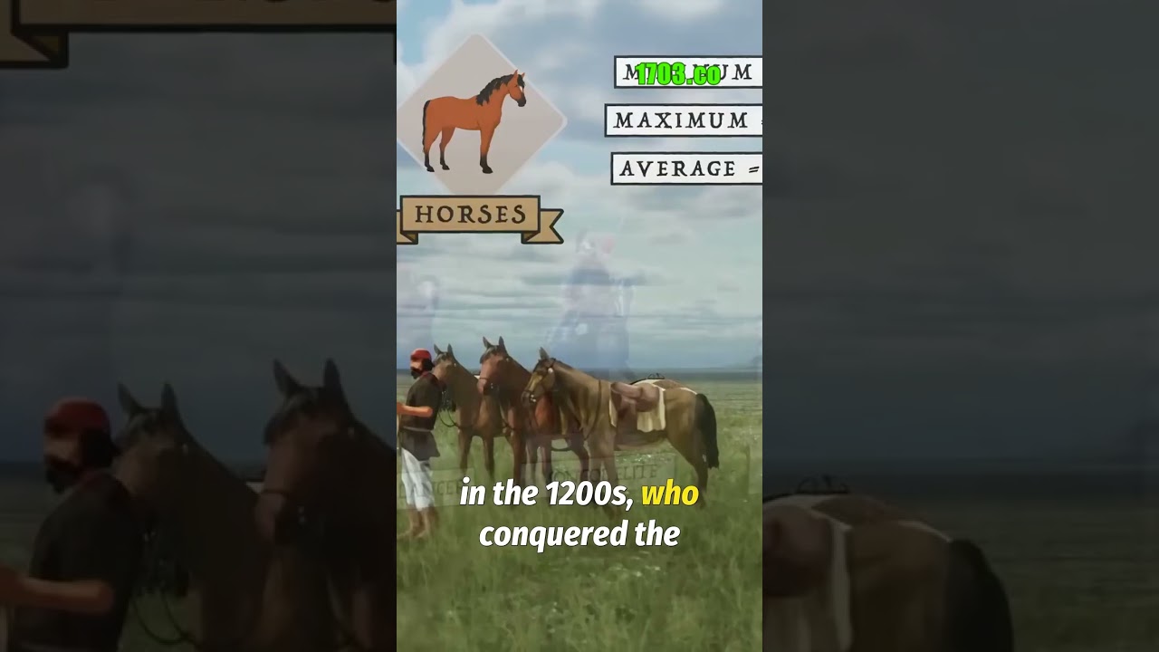 Mounted Archery: From Ancient Warfare to Modern Sport