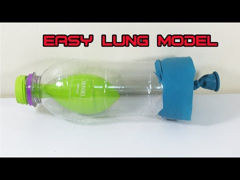 How To Make Easy Lung Model with 2 Balloon and Recycling Bottle