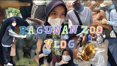 ragunan zoo vlog!!