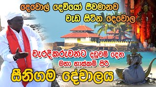 Seenigama Devalaya | වැරදිකරුවන්ට දඩුවම් දෙන මහා හාස්කම් පිරි සීනිගම දේවාලය | Tv Lanka screenshot 3