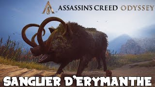 Sanglier D Erymanthe Le Sanglier Peteur Chasse Assassin S Creed Odyssey Royleviking Fr Pc Youtube
