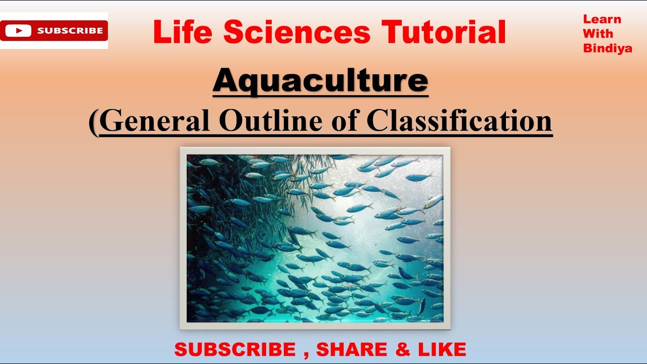 General Classification of Pisces || Aquaculture || Classification up to order level || MSc Zoology
