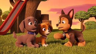 Can't Catch Me - Paw Patrol Valiente A Tracker Story 2025