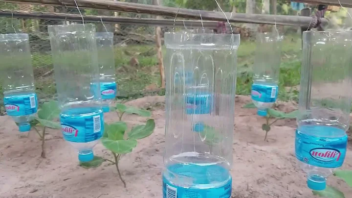 New method to make Drip Watering, How to make Drip Watering From Plastic Bottle at home