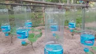 New method to make Drip Watering, How to make Drip Watering From Plastic Bottle at home