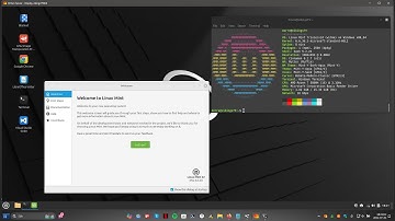 Linux Mint Wilma 22 - Install Cinnamon Desktop on Linux Mint 22 via Windows 11 - WSL - GWSL - Linux