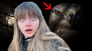HAWK MAN is Following US! A New Urban Legend and Scary Story with AUBREY and CALEB! by Fun And Crazy Kids 95,729 views 1 month ago 10 minutes, 33 seconds