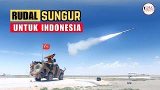 Rudal Manpads Turki Masuk Daftar Belanja, Berikut Faktanya