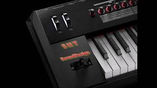 Shy - Sounddesign...ein Wort...roh Mix